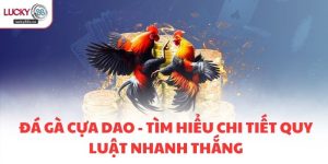 Đá Gà Cựa Dao - Tìm Hiểu Chi Tiết Quy Luật Nhanh Thắng