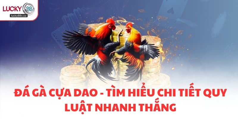 Đá Gà Cựa Dao - Tìm Hiểu Chi Tiết Quy Luật Nhanh Thắng