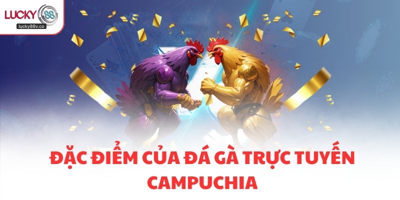 Đặc điểm của đá gà trực tuyến Campuchia