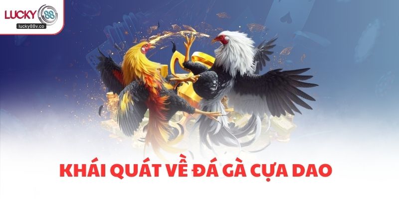 Khái quát về đá gà cựa dao