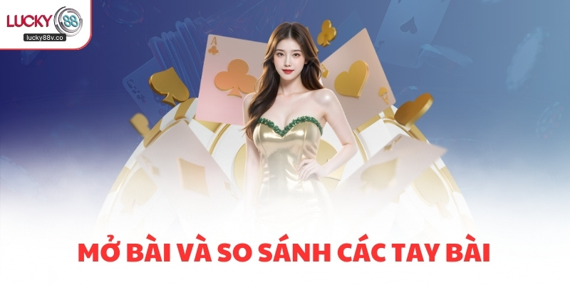 Mở bài và so sánh các tay bài