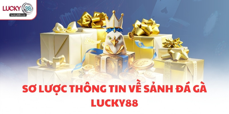 Sơ lược thông tin về sảnh đá gà LUCKY88